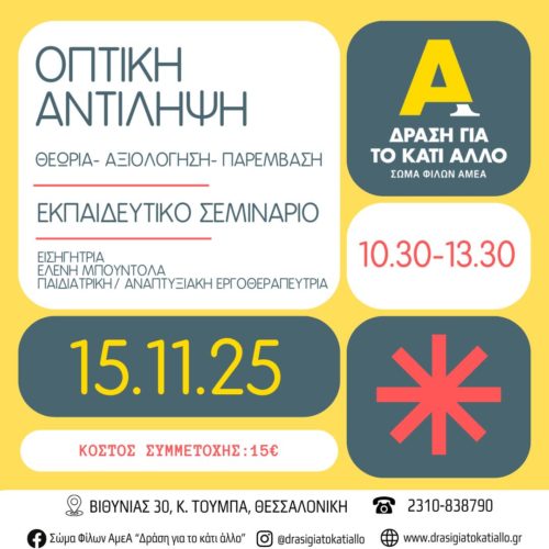 Εκπαιδευτικό σεμινάριο “Οπτική Αντίληψη: Θεωρία – Αξιολόγηση – Παρέμβαση” – Νοέμβριος 2025